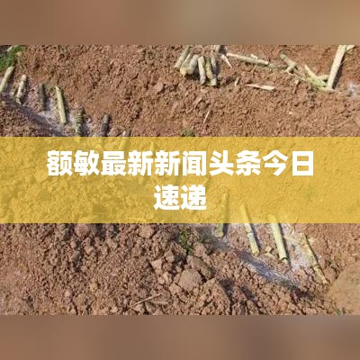 额敏最新新闻头条今日速递