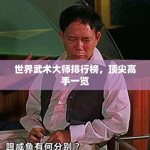 世界武术大师排行榜，顶尖高手一览