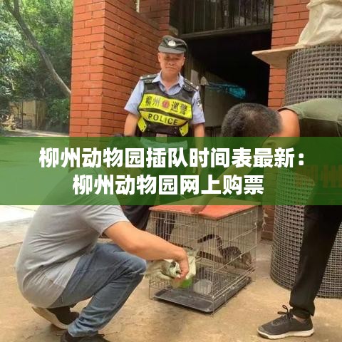 柳州动物园插队时间表最新：柳州动物园网上购票 