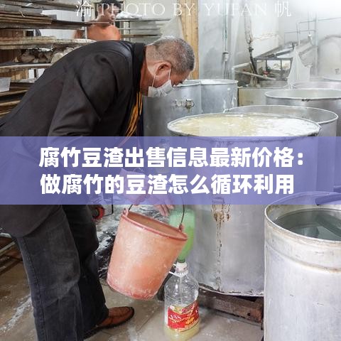 小鸟伊人 第2页