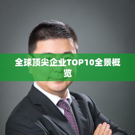 全球顶尖企业TOP10全景概览