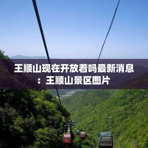 王顺山现在开放着吗最新消息：王顺山景区图片 