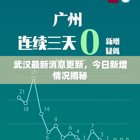 武汉最新消息更新，今日新增情况揭秘