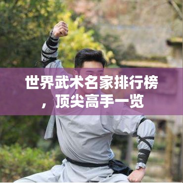 世界武术名家排行榜，顶尖高手一览