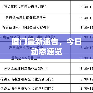 厦门最新通告，今日动态速览