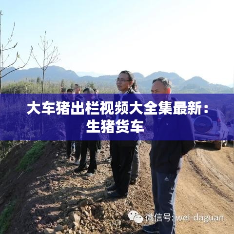 大车猪出栏视频大全集最新：生猪货车 