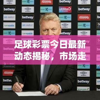 足球彩票今日最新动态揭秘，市场走势深度解析