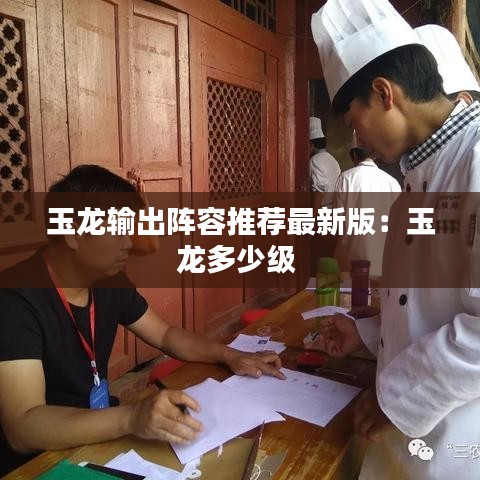 玉龙输出阵容推荐最新版：玉龙多少级 