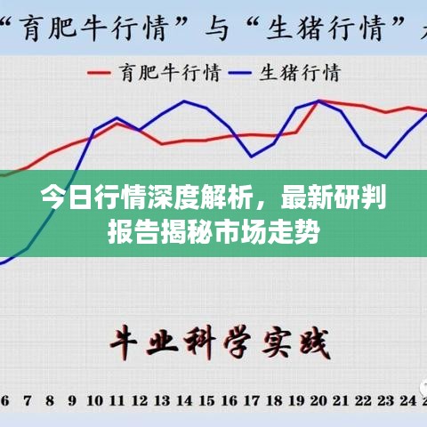 今日行情深度解析，最新研判报告揭秘市场走势