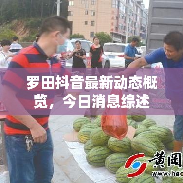 罗田抖音最新动态概览，今日消息综述