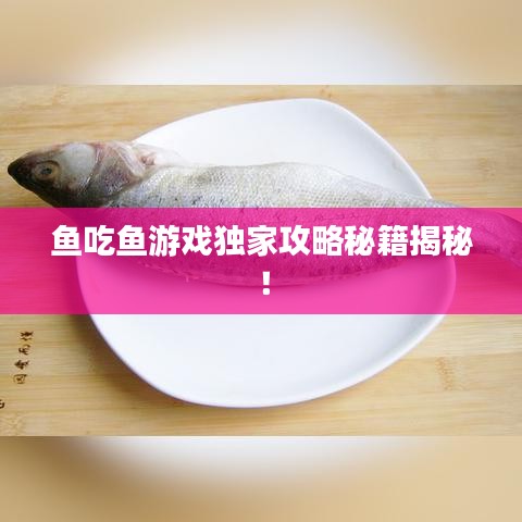 鱼吃鱼游戏独家攻略秘籍揭秘！