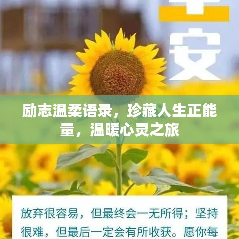 励志温柔语录，珍藏人生正能量，温暖心灵之旅