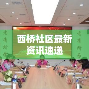 西桥社区最新资讯速递