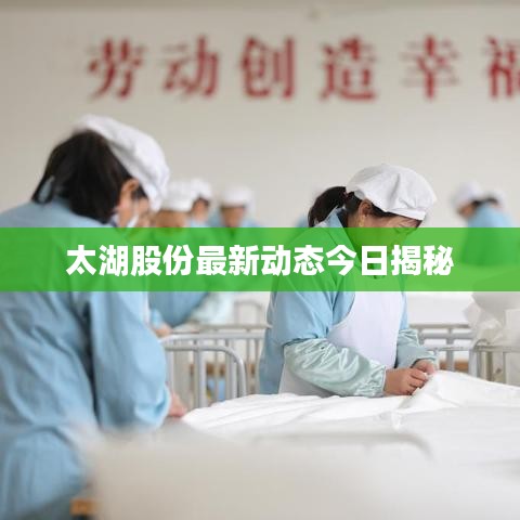 太湖股份最新动态今日揭秘