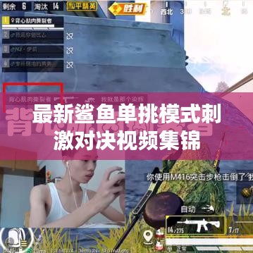 最新鲨鱼单挑模式刺激对决视频集锦