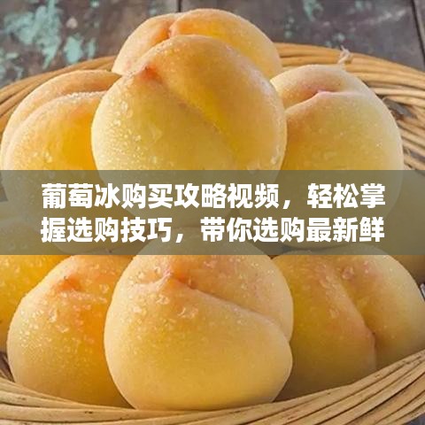 葡萄冰购买攻略视频，轻松掌握选购技巧，带你选购最新鲜美味葡萄冰！