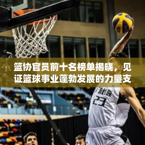 篮协官员前十名榜单揭晓，见证篮球事业蓬勃发展的力量支柱