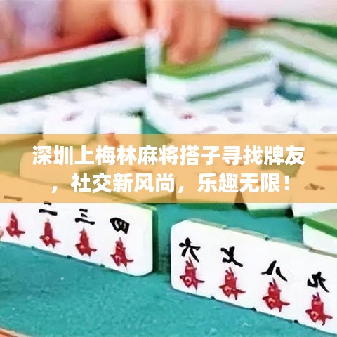 深圳上梅林麻将搭子寻找牌友，社交新风尚，乐趣无限！