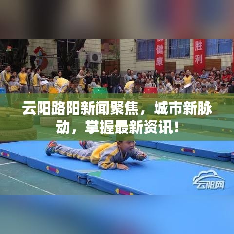 云阳路阳新闻聚焦，城市新脉动，掌握最新资讯！