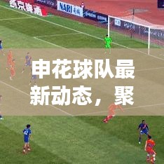申花球队最新动态，聚焦新闻头条