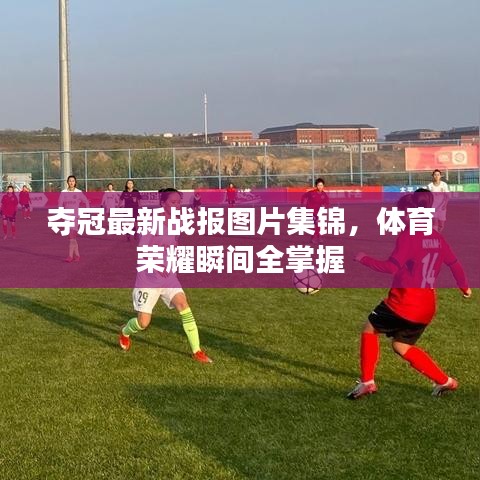 夺冠最新战报图片集锦，体育荣耀瞬间全掌握