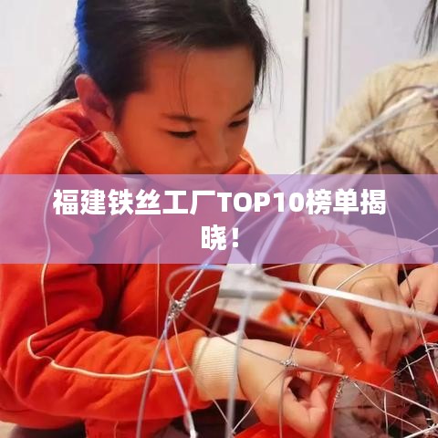 福建铁丝工厂TOP10榜单揭晓！