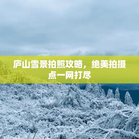 庐山雪景拍照攻略，绝美拍摄点一网打尽