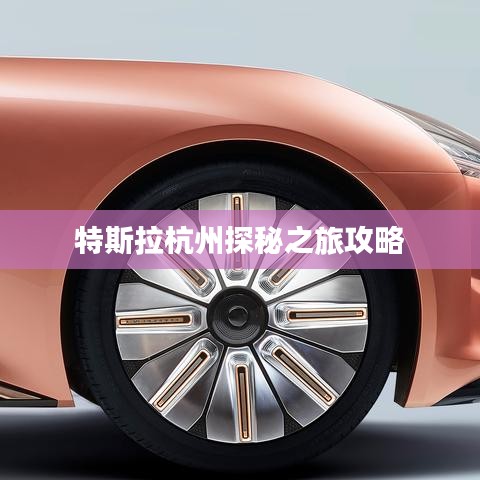 特斯拉杭州探秘之旅攻略