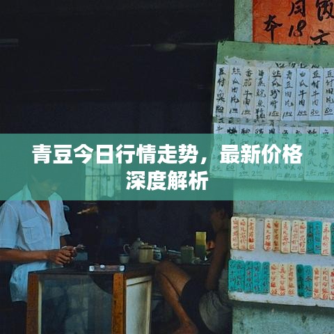 青豆今日行情走势，最新价格深度解析