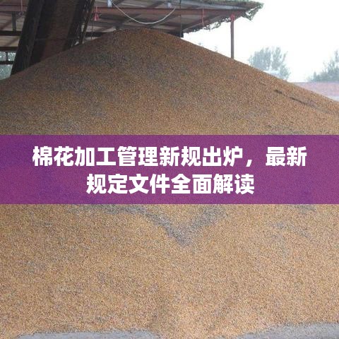 棉花加工管理新规出炉，最新规定文件全面解读