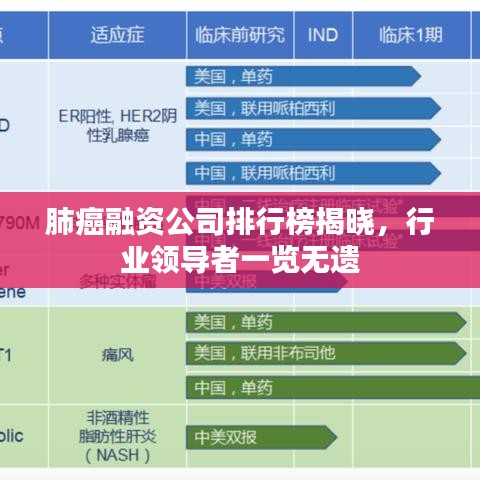 肺癌融资公司排行榜揭晓，行业领导者一览无遗