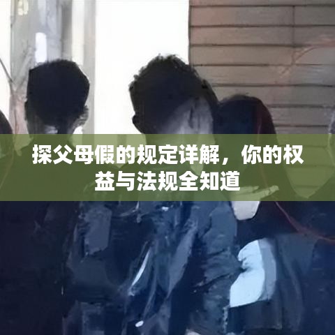 探父母假的规定详解，你的权益与法规全知道