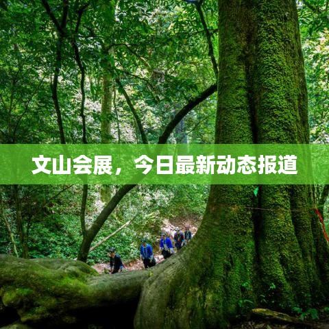 文山会展，今日最新动态报道