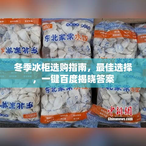 冬季冰柜选购指南，最佳选择，一键百度揭晓答案