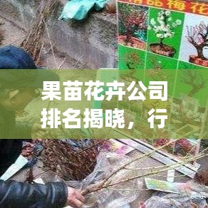 果苗花卉公司排名揭晓，行业领军者的成功奥秘探索
