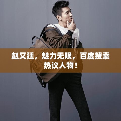 赵又廷，魅力无限，百度搜索热议人物！