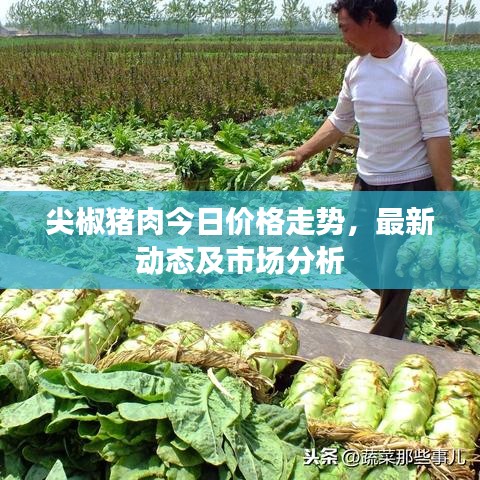 亘古新闻 第2页