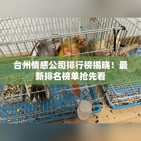 台州情感公司排行榜揭晓！最新排名榜单抢先看