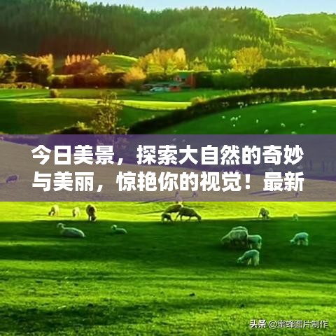 今日美景，探索大自然的奇妙与美丽，惊艳你的视觉！最新图片大放送！