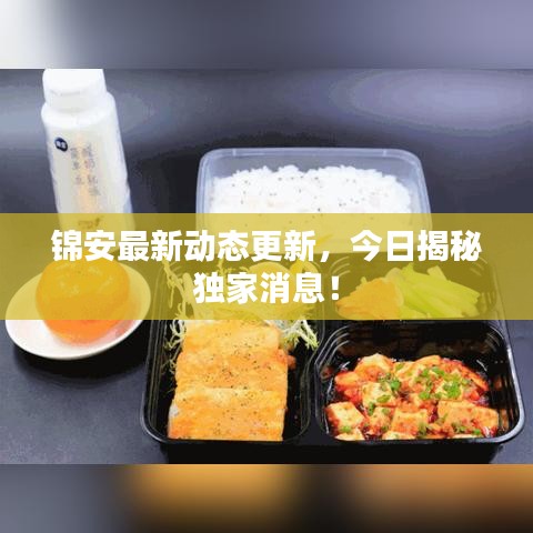 锦安最新动态更新，今日揭秘独家消息！