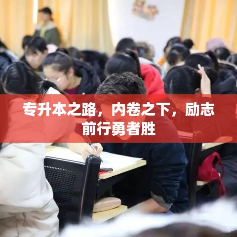 专升本之路，内卷之下，励志前行勇者胜