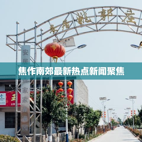 焦作南郊最新热点新闻聚焦