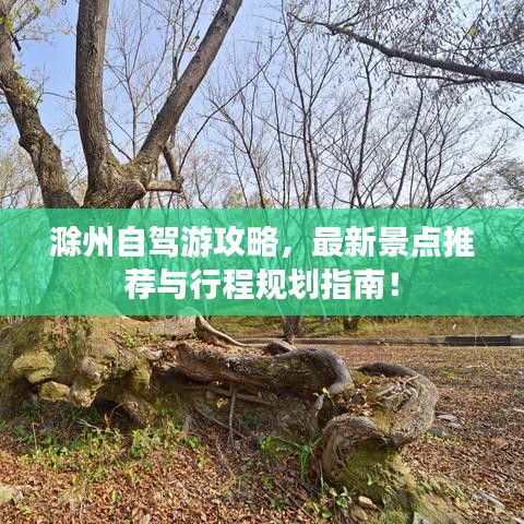 滁州自驾游攻略，最新景点推荐与行程规划指南！
