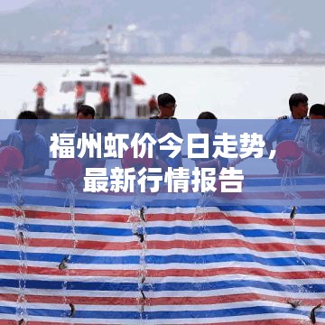 福州虾价今日走势，最新行情报告
