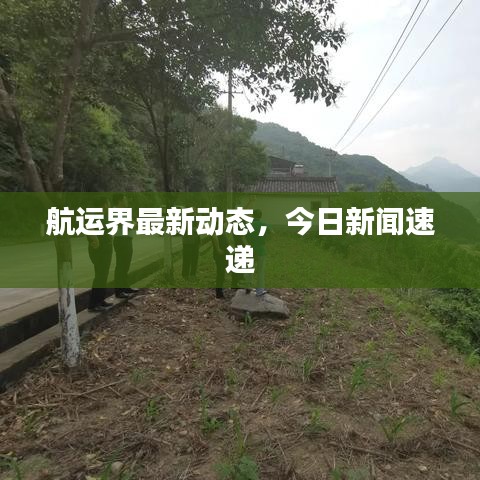 航运界最新动态，今日新闻速递