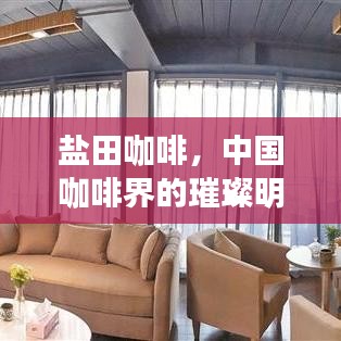 盐田咖啡，中国咖啡界的璀璨明珠——TOP10独特魅力榜单揭晓