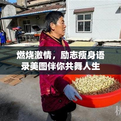 甄繁就简 第2页