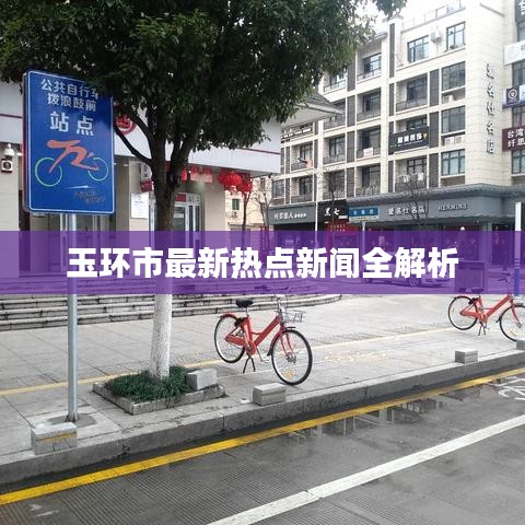 玉环市最新热点新闻全解析