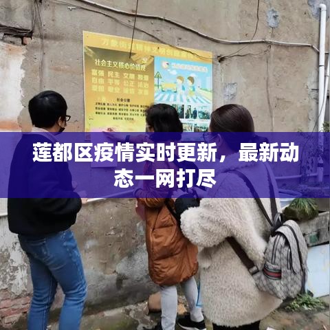 莲都区疫情实时更新，最新动态一网打尽