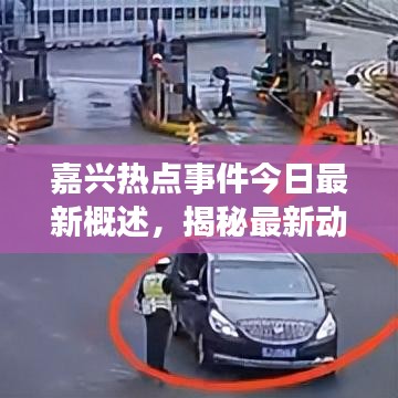 嘉兴热点事件今日最新概述，揭秘最新动态！